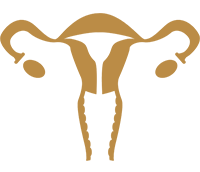 专业、权威的妇科服务