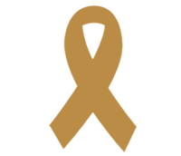 先进、全面的服务